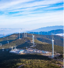 骨架增强类织物